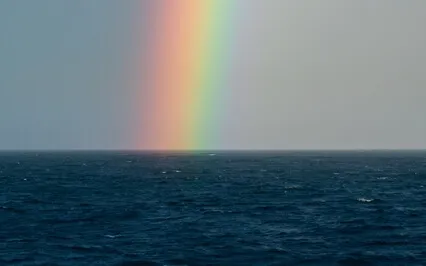 Co-Creative Flow Of Passion & Peace