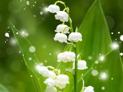 Coaching Our Mental Illness 