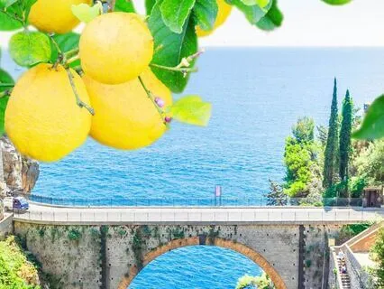 Coastal Retreat Ambience