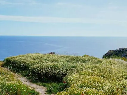 Coastal Walk Meditation: 12 Minute Journey For Finding Calm