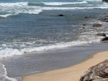 Coastal Waves - Watch Hill, Rhode Island