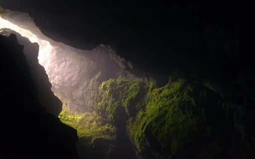 Cocoon | Music To Help Aid Sleep