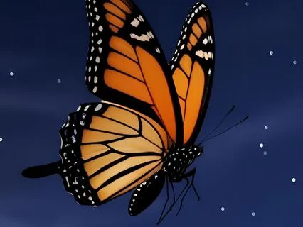 Cocoon Of Darkness - Yoga Nidra For Sleep