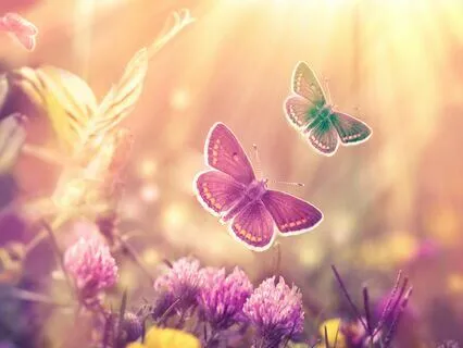 Cocooning With Your Soul