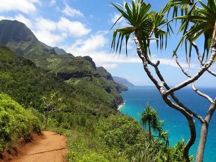 Codependency: The Island