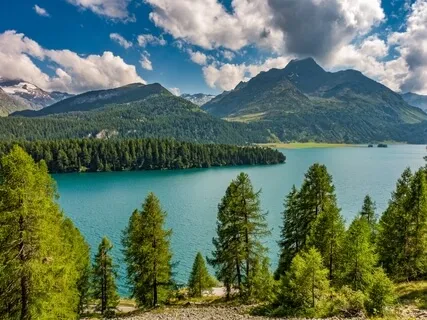 Codependency: The Lake