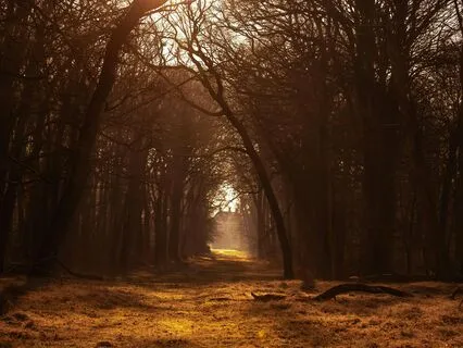 Códigos Lemurianos - Abertura de Novos Caminhos