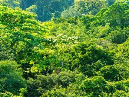 Coffee Break Affirmations