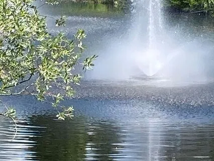 Coffee Break By The Brook