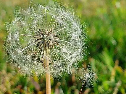 Cognitive Restructuring Part 2