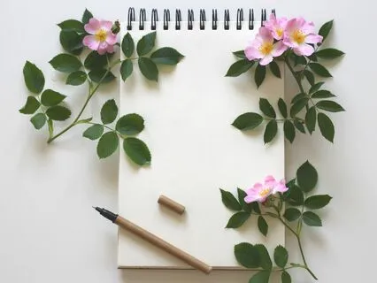 Cognitive Waves For Study, Superlearning, And Maximum Focus