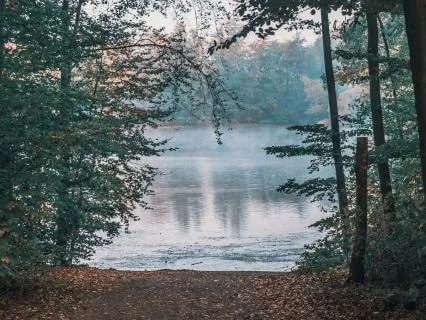 Coherence Breathing: 6 Minutes To Calm Your Nervous System