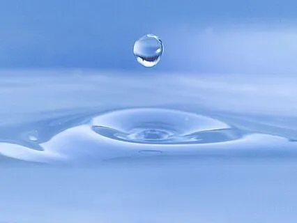 Coherence Of Heart And Mind