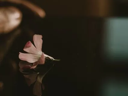 Coherent Breath For Inner Reset