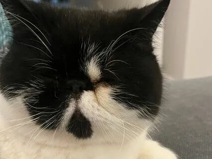 Coherent Breath For Well-Being (With Visualisation)