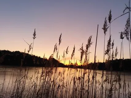 Coherent Breathing For Balance