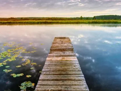 Calm Your Nervous System: Coherent Breathing (5 BPM)