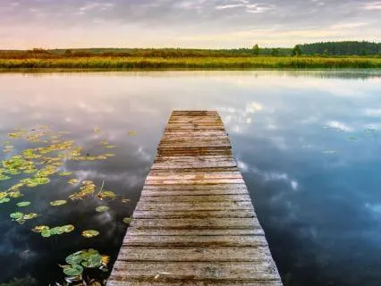 Calm Your Nervous System: Coherent Breathing (6 BPM)