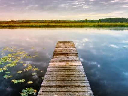 Calm Your Nervous System: Coherent Breathing (7 BPM)