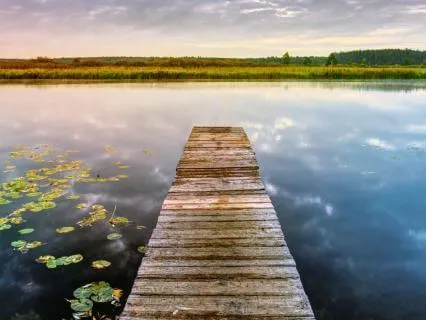 Calm Your Nervous System: Coherent Breathing (8 BPM)