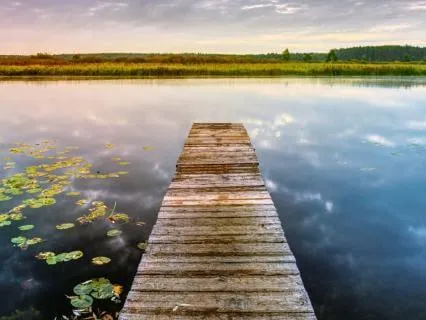 Calm Your Nervous System: Coherent Breathing (9 BPM)