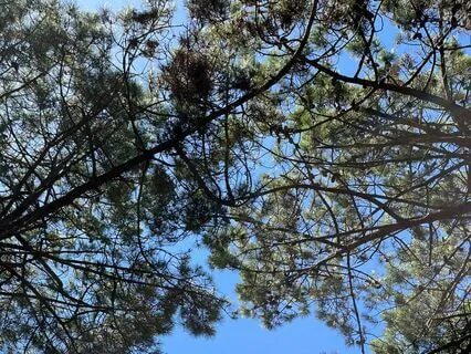 Coherent Breathing - Managing Stress Within 3 Minutes