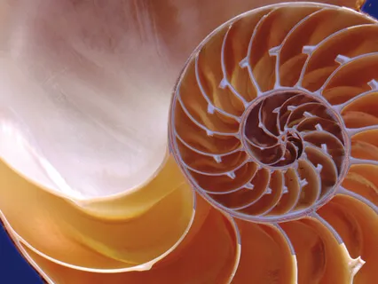 Coherent Breathing Symphony (full version)