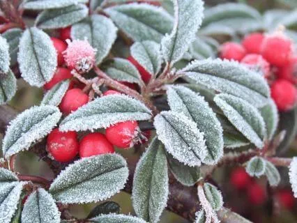 Cold Velvet - Night Relaxation Soundscape