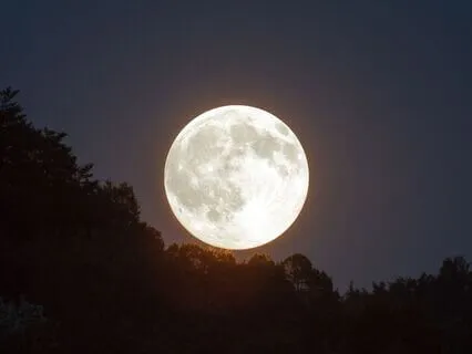 Collect Abundance This Strawberry Moon! (Alpha, Lambda)