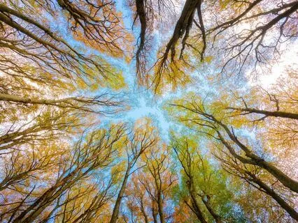 Collect Yourself - Meditate Music