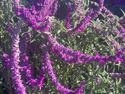 Collecting Attention To Now