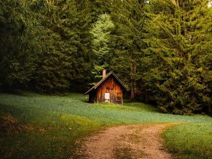 Collective Reading Creating A Sacred Space For Growth