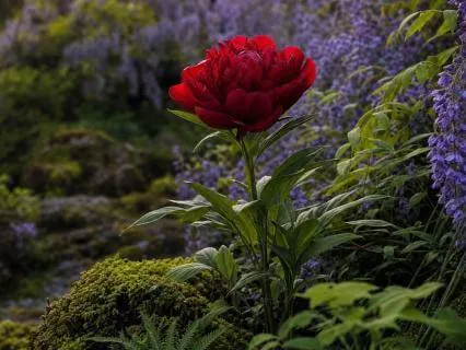 Color Breathing For Calm, Strength & Healing