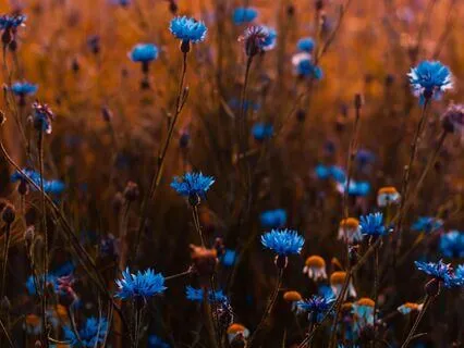 Color Healing Meditation | Trust Your Intuition