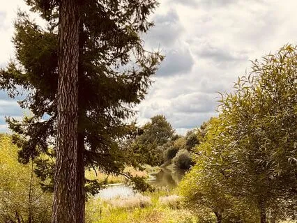 Color Meditation: To Align With Your True Potential