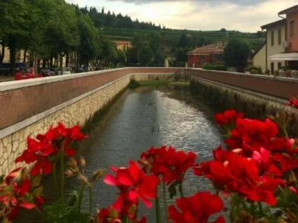 Color Visualization For Period Relief