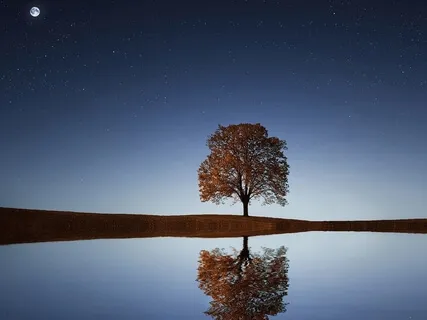 Colour Visualisation