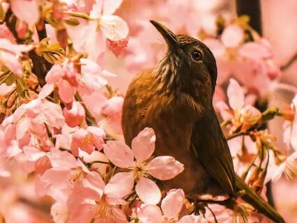 Combating Social Anxiety With Tools