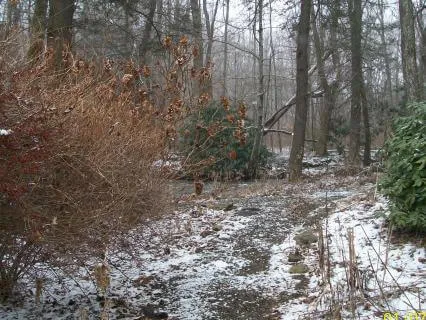 Combined Poems & Stuff (7 - 8 Hours Sleep)