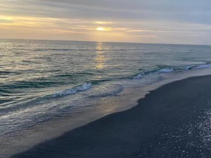 Combined Story 7 - The Bet By Anton Chekov (8 Hours Sleep)