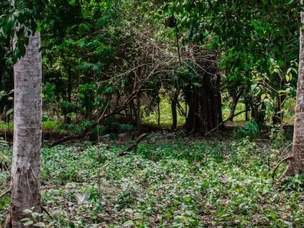 "Come As You Are" Meditation