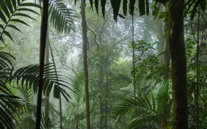 Come Back! (ASMR For Anxiety)