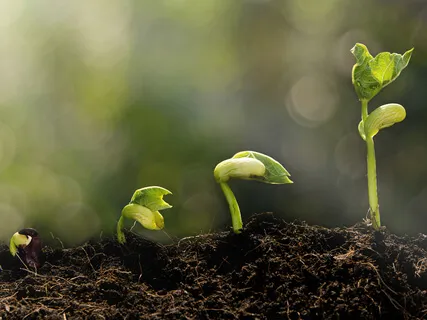 Come Back Home (New Version)