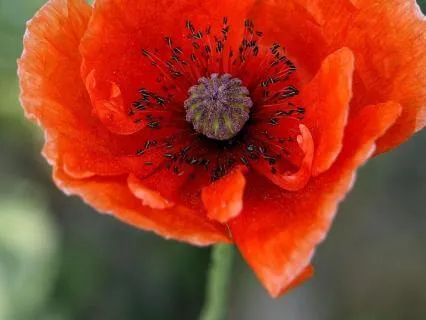 Come Back Into Balance: A Self-Care Meditation