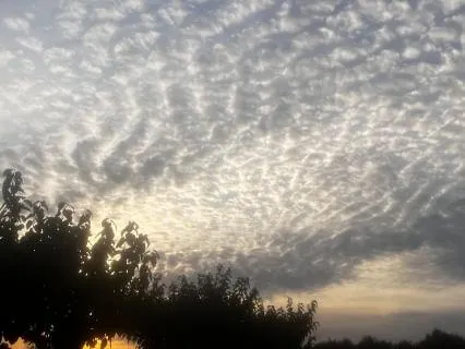 Come Back To Calm | Perimenopause Relief