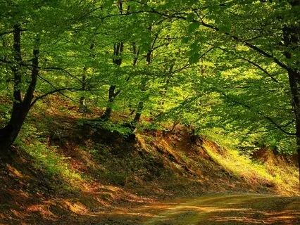 Come Back To Now: A Gentle Reset For Anxiety Attacks