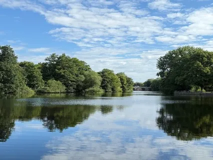 Come Back To Now: A Short 5 Senses Reset - 3 Min.