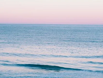 Come Back To Peace - Nervous System Reset