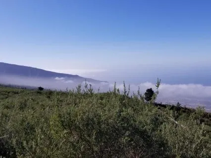 Come Back To The Breath