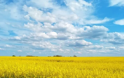 Come Back To The Present Moment & Let Go Of Tension Quickly